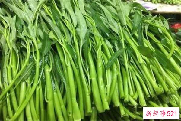 咖喱可以和金针菇一起吃吗？可以 可以一起吃(两者不兼容)