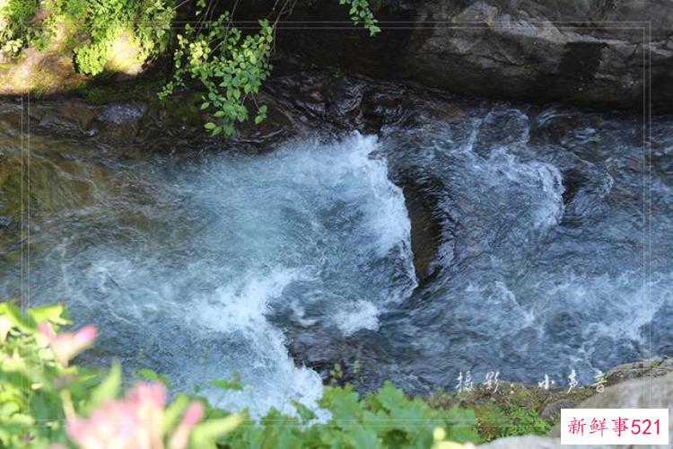 美国西雅图雷尼尔雪山「西雅图雷尼尔雪山火山踏花行」