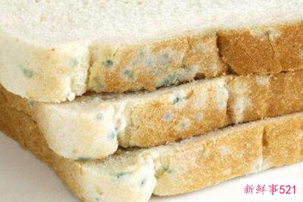 微微发霉的面包能吃吗？不要吃发霉的面包 会影响身体健康
