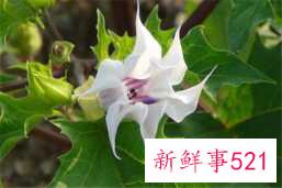 人可以空腹运动吗？运动前吃什么比较合适？