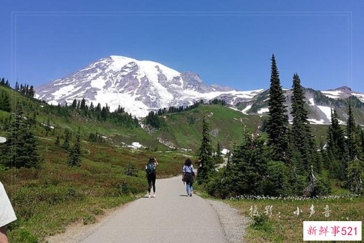 美国西雅图雷尼尔雪山「西雅图雷尼尔雪山火山踏花行」