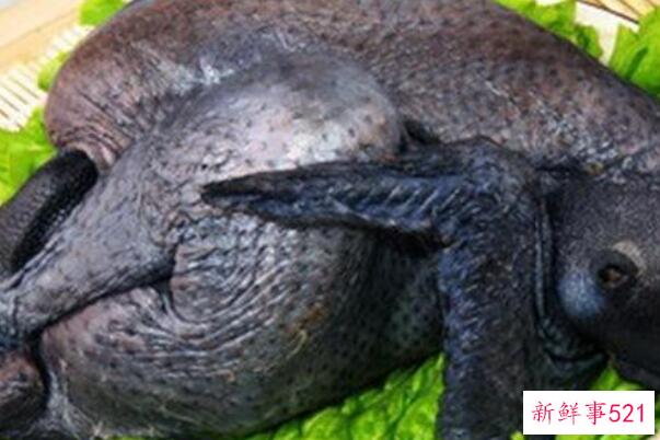 卫生纸的腥味是怎么回事？劣质纸巾只有气味(不健康)