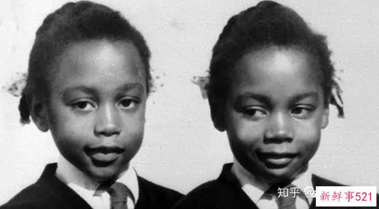 双胞胎姐妹相爱相杀，双胞胎相爱相杀系列