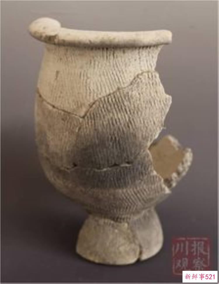 四川宝墩文化遗迹，考古公开课百年考古大发现第三期