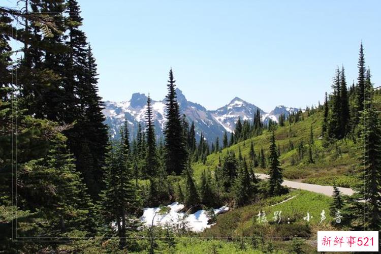 美国西雅图雷尼尔雪山「西雅图雷尼尔雪山火山踏花行」