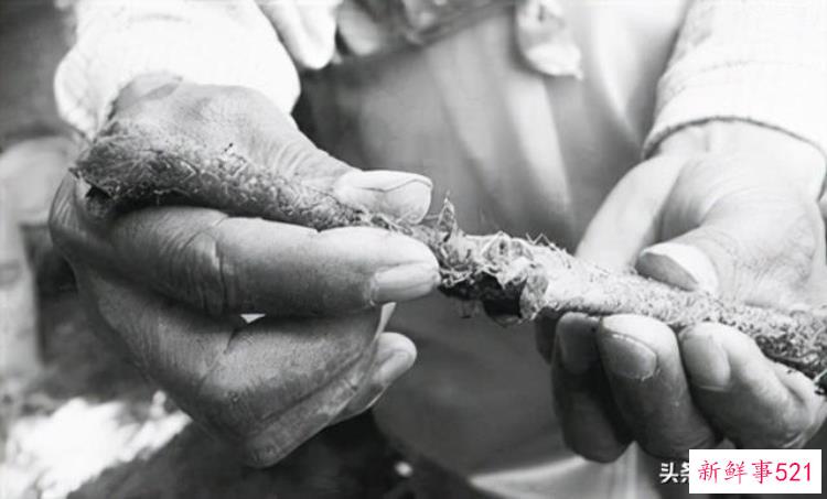 泉州小矮人墓，福建发现1米矮人墓