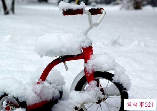 冬天的特点有哪些？冬天的十大优点与缺点