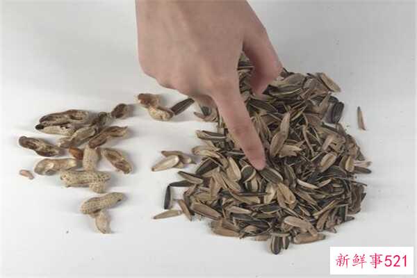 瓜子壳是餐厨垃圾吗？瓜子壳可以当枕头材料吗？