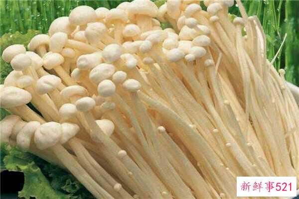 多莉圣母的真身是什么？田童领导下的四个门徒之一