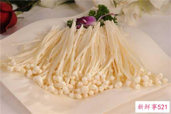 多莉圣母的真身是什么？田童领导下的四个门徒之一