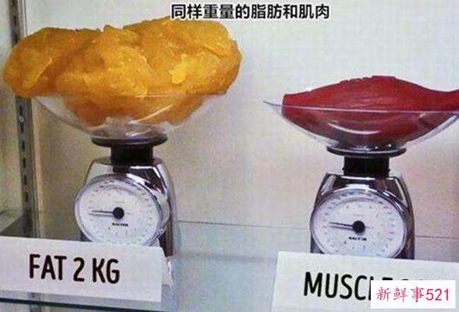 吃多了肌肉或脂肪 哪种物质可以减脂(肌肉重量)？