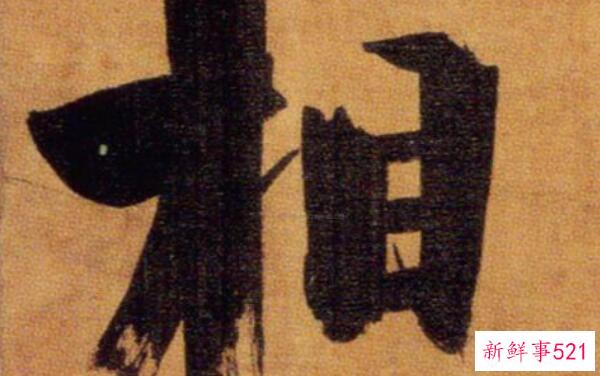 雪山上盛开的花有哪些？资源濒危植物雪莲耐寒(高45厘米)