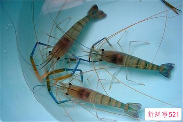 世界上最大的单一岛国-印度尼西亚(拥有最大的群岛)