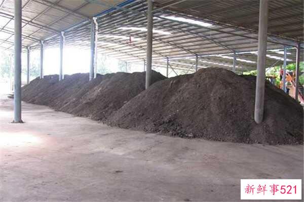 耳机没有声音可以修吗？耳机没有声音的原因