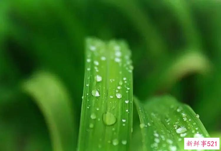 绅士领域里世界是什么，以平静的心看世界