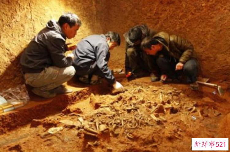 浙江首个考古学本科专业今年第一次招生记者专访系主任考古还是冷门吗