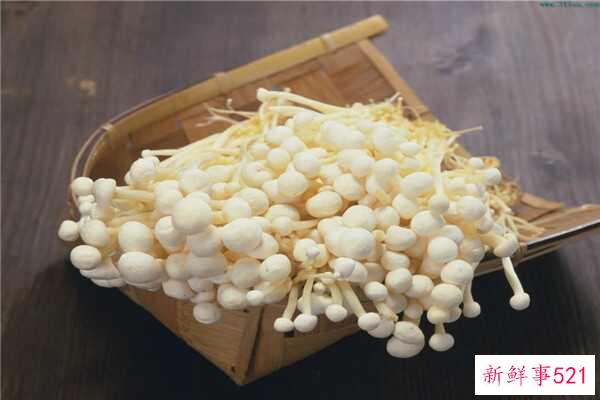 多莉圣母的真身是什么？田童领导下的四个门徒之一