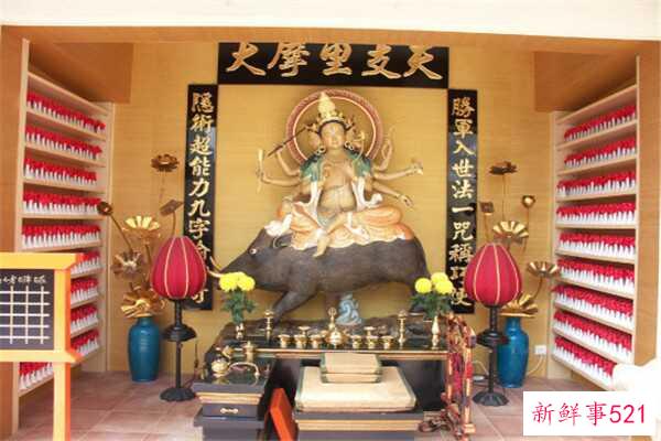 多莉圣母的真身是什么？田童领导下的四个门徒之一