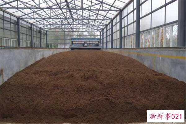 耳机没有声音可以修吗？耳机没有声音的原因