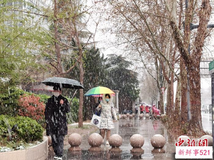 河南多地飘“桃花雪” 三门峡等地暴雪蓝色预警