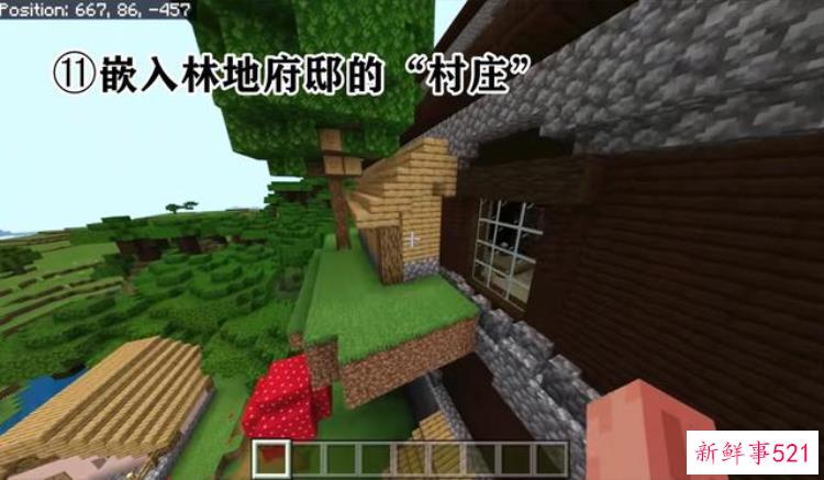 mc的稀有种子，盘点mc里面最稀有的四个种子