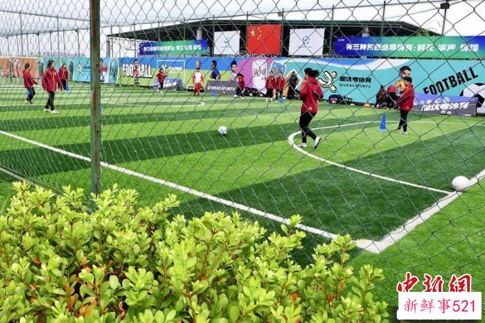 金沙天空森林体育公园吸引了不少市民。　叶建 摄