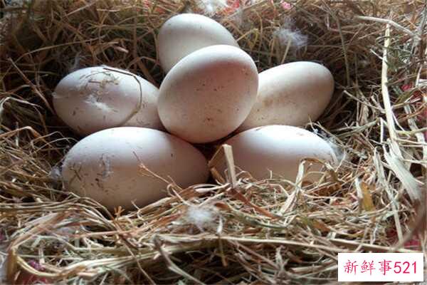 鹅蛋不能和什么一起吃？吃鹅蛋要注意什么？