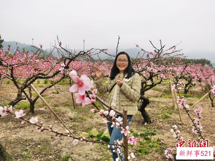 胡玉丹在桃林拍照。　周蔚娜 摄