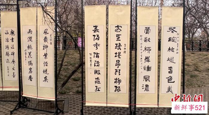 图为书法展示。　王君妍 摄