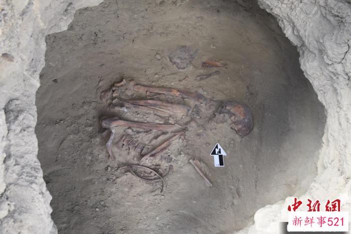 青藏高原西部阿里地区皮央吉翁遗址一处墓室中出土的人类个体遗骸。　中科院古脊椎所 供图