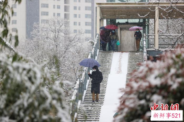 3月16日，河南三门峡出现降雪。　孙猛 摄
