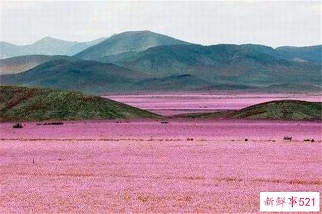 世界上最糟糕的沙漠-阿塔卡马沙漠(近百年无降雨)