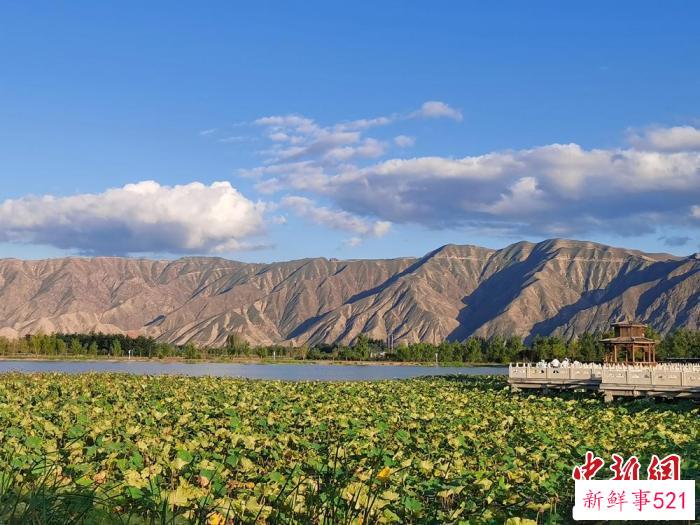 图为白银市湿地公园景色。(资料图) 白银市委宣传部供图