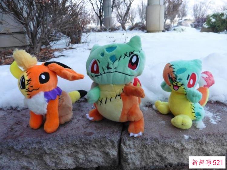 美国手作人将宝可梦肢解再缝合制作古怪宝可梦