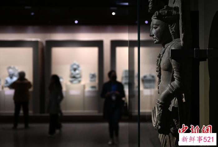 展览现场 杜洋 摄