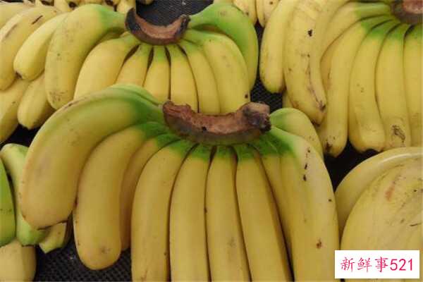 夏天可以吃冬枣吗？可以吃吗(味道没有正常的营养)