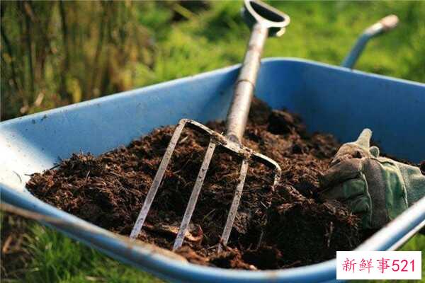 如何制作堆肥堆肥(生活垃圾)的成分有哪些？