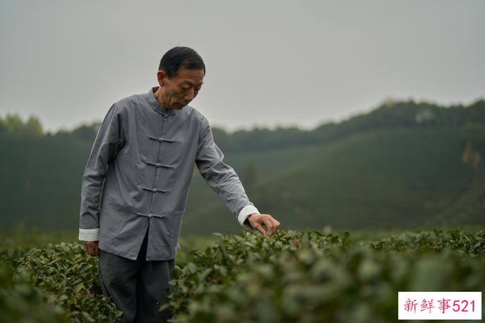 非遗传承大师樊生华推荐，古茗爆款龙井系列4月将回归