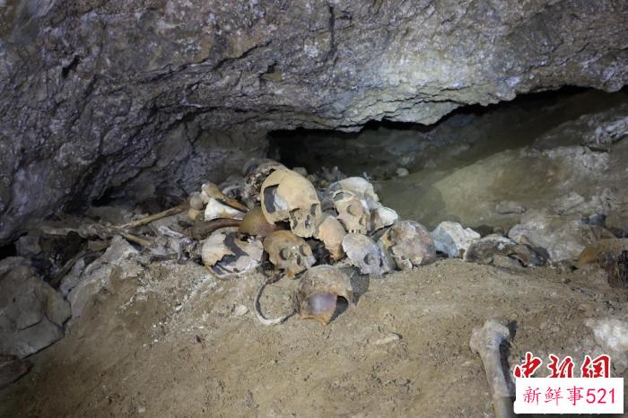 青藏高原西南部日喀则地区顶琼遗址一处墓室中出土的人类头骨。　中科院古脊椎所 供图