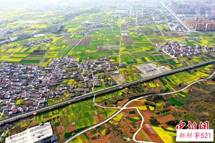 国铁西安局打造“开往春天的列车”。　郝正国 摄