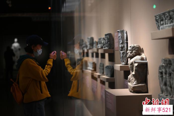 展览现场 杜洋 摄