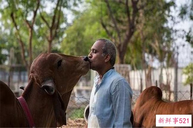 世界上最糟糕的沙漠-阿塔卡马沙漠(近百年无降雨)