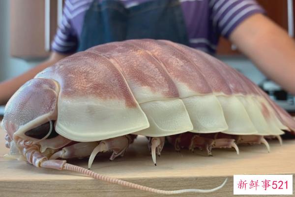 国王可以吃脚虫吗？日本人最喜欢油炸食品(味道像龙虾)