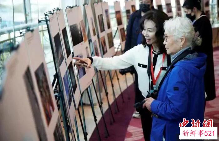 获奖作品展览。　上海市侨联供图