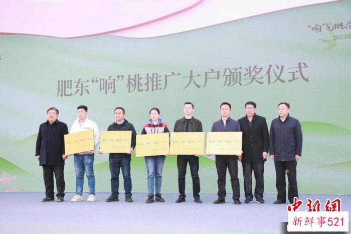 肥东县“响桃”推广大户颁奖仪式。　肥东县人民政府供图