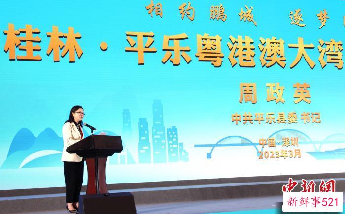 平乐县委书记周政英宣传推介平乐营商环境。　苏桂 摄