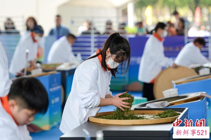 图为选手在手工制茶比赛中。　何蓬磊 摄