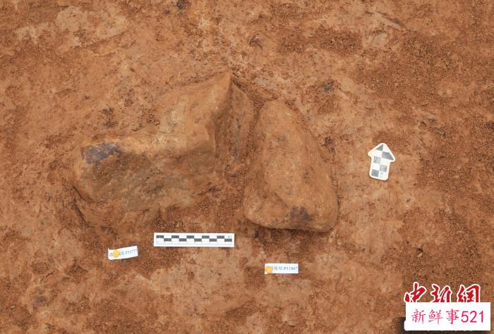 洛南夜塬遗址第11层原位埋藏的单面修理手镐。　陕西省考古研究院供图