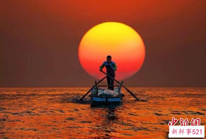 GPU金像奖作品——彭炯新创作的《前程似锦》。　上海市侨联供图