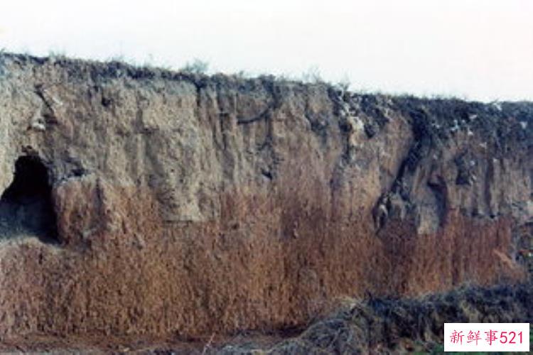 仰韶考古100周年，吉林考古发掘用手持考古检测仪